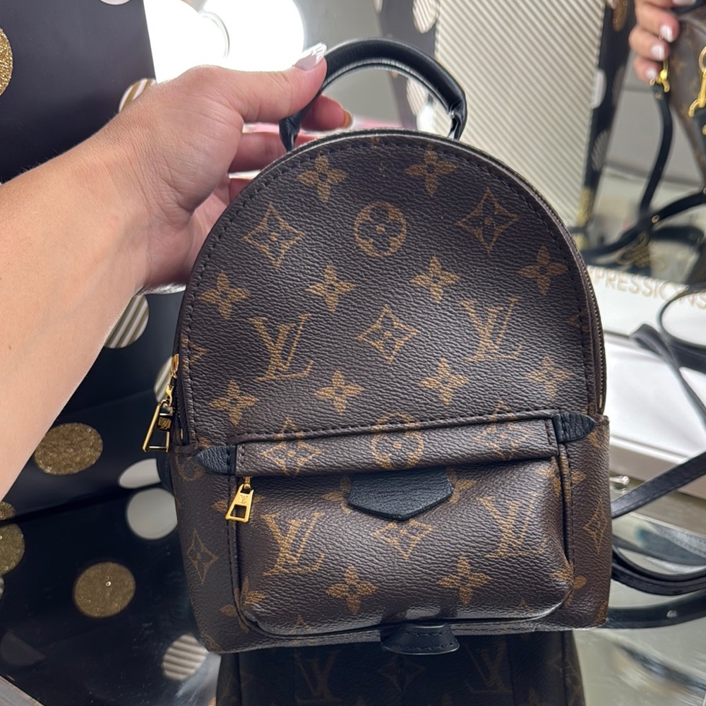 Louis Vuitton Palm Springs Mini